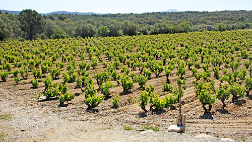 Rabós d'Empordà